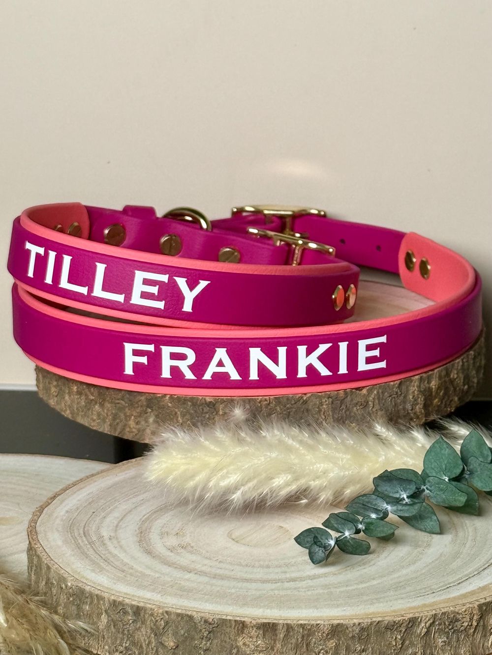 1-Inch Custom Dog Collar Double Layer Biothane® | Waterproof